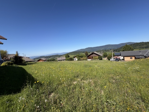 Vente Terrain